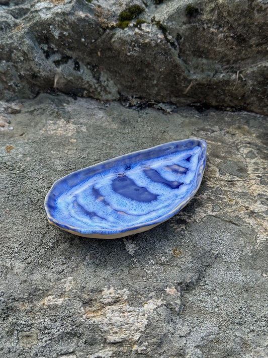 Ringskål mussla